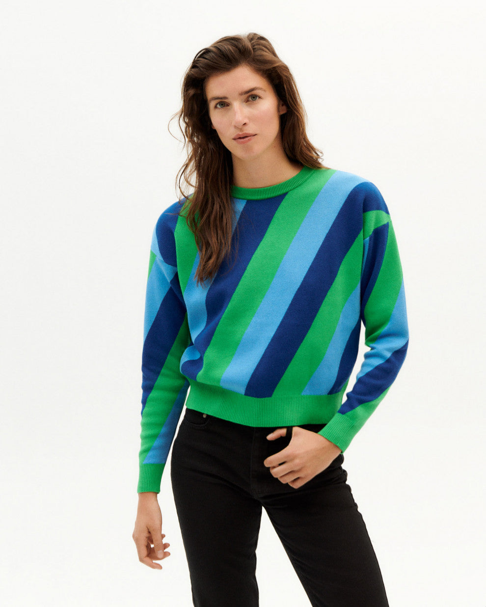 Paloma Navy Striped Sweatshirt - Thinking Mu